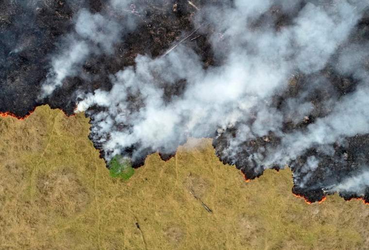 Image: Billows of smoke rise over a deforested plot of the Amazon in Porto Velho, Brazil, on Aug. 24, 2019.
