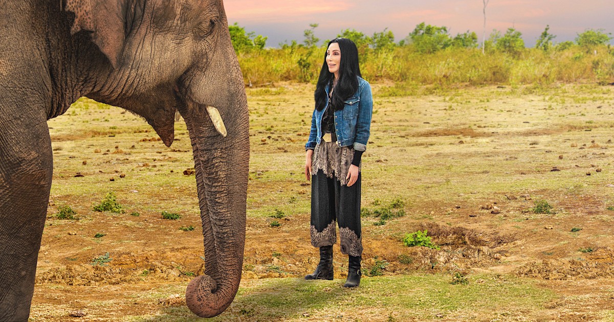 See Cher help 'world's loneliest elephant' in new documentary trailer