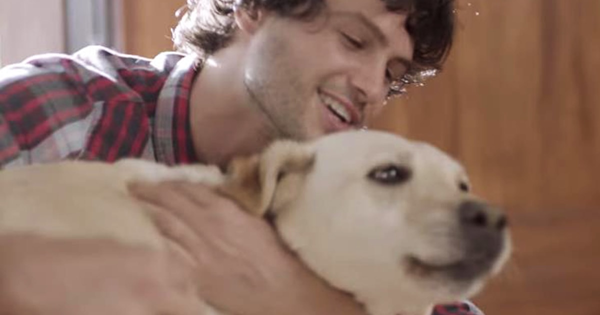 Budweiser dog commercial goes viral, makes us whimper